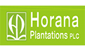 Horana Plantations
